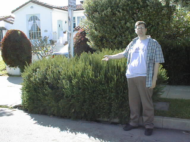 {short description of image}