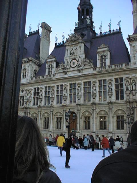 {short description of image}