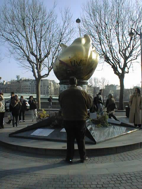 {short description of image}
